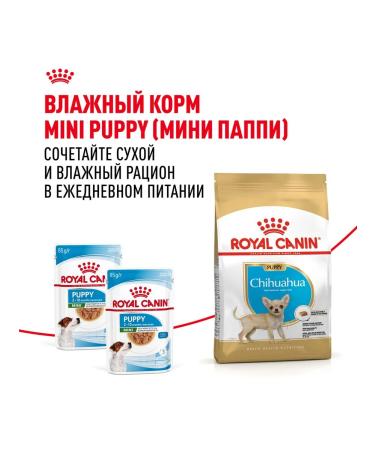 ROYAL CANIN Dry food chihuahua puppy for chihuahua puppies 0.5 kg 2 pcs - Buy Online on GoSupps.com