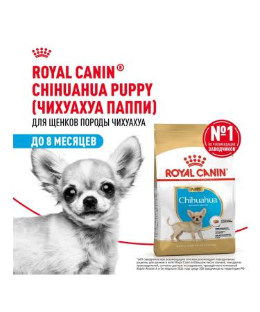 ROYAL CANIN Dry food chihuahua puppy for chihuahua puppies 0.5 kg 2 pcs - Buy Online on GoSupps.com