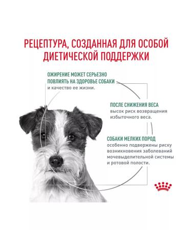 ROYAL CANIN Dry Satiety feed for small dogs weight control 1.5 kg 2pcs - Buy Online on GoSupps.com