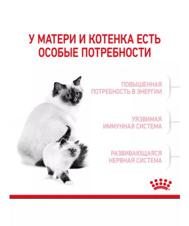 ROYAL CANIN Dry feed Mother & Babycat for kittens and cats 0.4 kg 2 pcs - Buy Online on GoSupps.com