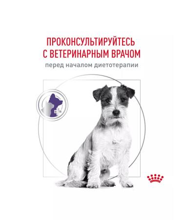 ROYAL CANIN Dry neuthed sterilized small dogs 0.8 kg 2 pcs - Buy Online on GoSupps.com