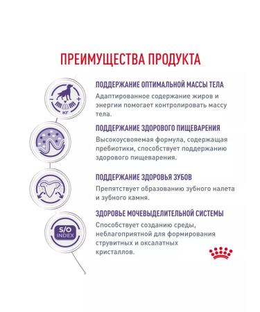 ROYAL CANIN Dry neuthed sterilized small dogs 0.8 kg 2 pcs - Buy Online on GoSupps.com