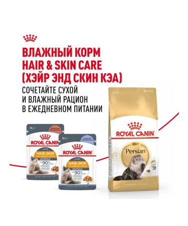 ROYAL CANIN Dry Persian Adult for cats Persian 2 kg 2 pcs - Buy Online on GoSupps.com
