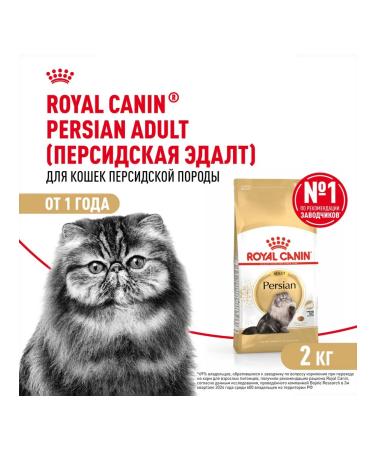 ROYAL CANIN Dry Persian Adult for cats Persian 2 kg 2 pcs - Buy Online on GoSupps.com