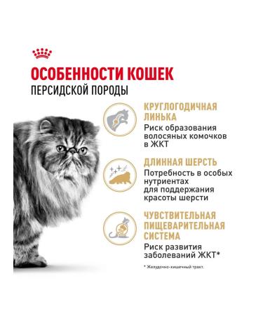ROYAL CANIN Dry Persian Adult for cats Persian 2 kg 2 pcs - Buy Online on GoSupps.com