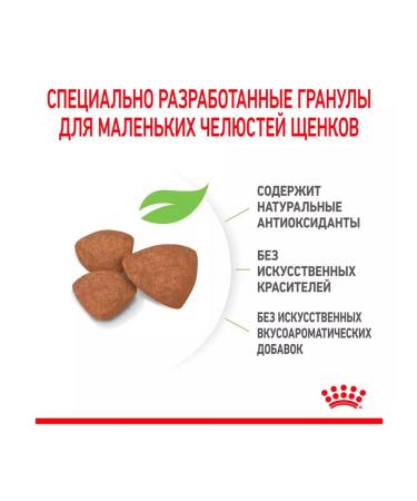 ROYAL CANIN Dry Mini Puppy food for small puppies 4 kg 2 pcs - Buy Online on GoSupps.com