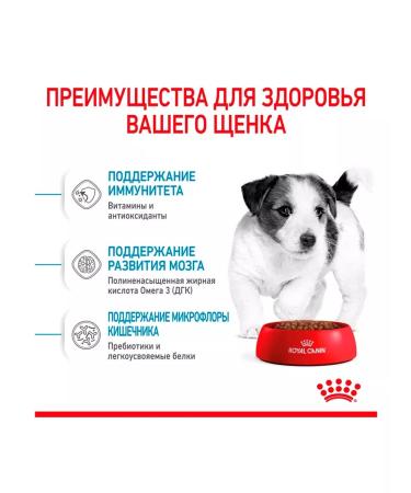 ROYAL CANIN Dry Mini Puppy food for small puppies 4 kg 2 pcs - Buy Online on GoSupps.com