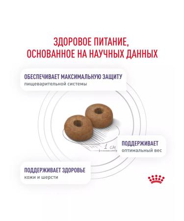 ROYAL CANIN Feeding dry neuthed sterilized medium dogs 3.5 kg 4pcs - Buy Online on GoSupps.com