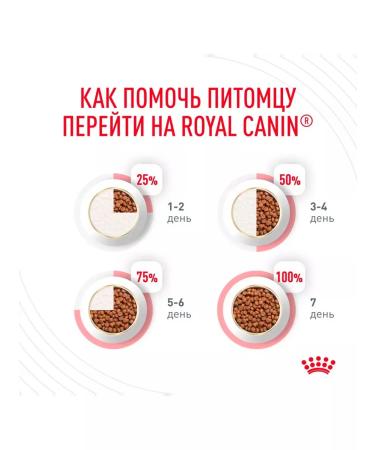 ROYAL CANIN Dry Urinary Care Feed for cats Urinaria 4 kg 2 pcs - Buy Online on GoSupps.com