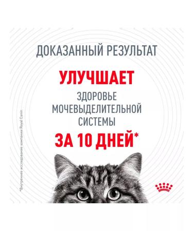 ROYAL CANIN Dry Urinary Care Feed for cats Urinaria 4 kg 2 pcs - Buy Online on GoSupps.com