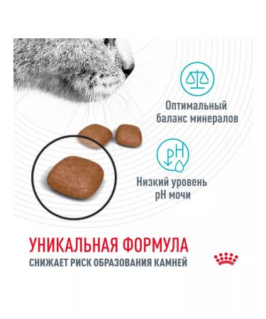 ROYAL CANIN Dry Urinary Care Feed for cats Urinaria 4 kg 2 pcs - Buy Online on GoSupps.com