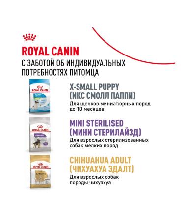 ROYAL CANIN X-Small Adult food for small dogs X Small 1.5 kg 6 pcs - Buy Online on GoSupps.com