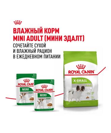 ROYAL CANIN X-Small Adult food for small dogs X Small 0.5 kg 2 pcs - Buy Online on GoSupps.com