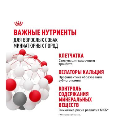 ROYAL CANIN X-Small Adult food for small dogs X Small 0.5 kg 2 pcs - Buy Online on GoSupps.com