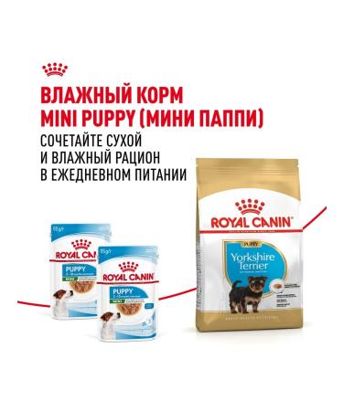 ROYAL CANIN Fodder yorkshire terrier puppy yorkshire terrier 0.5 kg 2 pcs - Buy Online on GoSupps.com