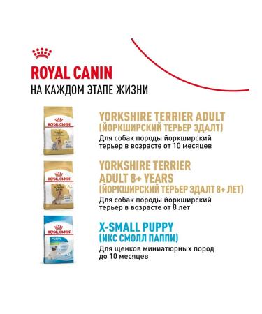ROYAL CANIN Fodder yorkshire terrier puppy yorkshire terrier 0.5 kg 2 pcs - Buy Online on GoSupps.com