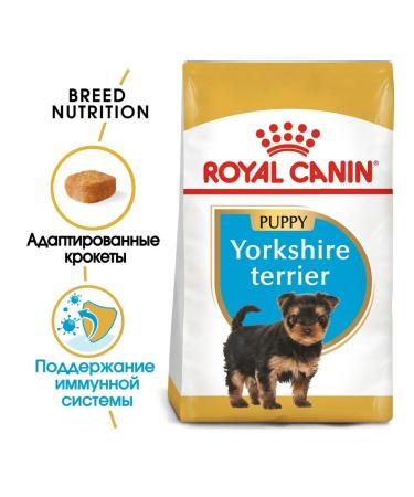 ROYAL CANIN Fodder yorkshire terrier puppy yorkshire terrier 0.5 kg 2 pcs - Buy Online on GoSupps.com