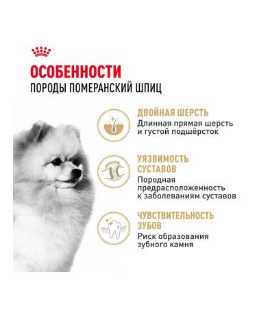 ROYAL CANIN Dry pomeranian feed for dogs Pomeranian spitz 0.5 kg 4pcs - Buy Online on GoSupps.com