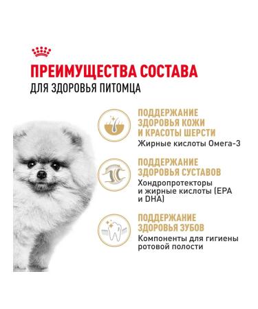 ROYAL CANIN Dry pomeranian feed for dogs Pomeranian spitz 0.5 kg 4pcs - Buy Online on GoSupps.com