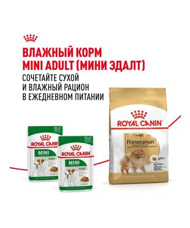 ROYAL CANIN Dry pomeranian feed for dogs Pomeranian spitz 0.5 kg 4pcs - Buy Online on GoSupps.com