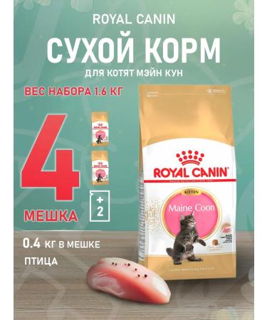 ROYAL CANIN Main Coon Kitten 36 food for kittens Main Kun 0.4 kg 4 pcs