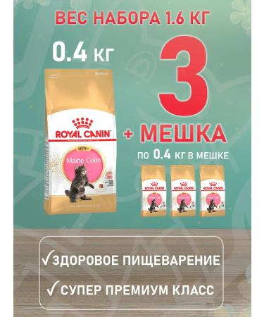 ROYAL CANIN Main Coon Kitten 36 food for kittens Main Kun 0.4 kg 4 pcs - Buy Online on GoSupps.com