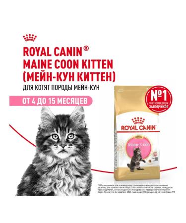 ROYAL CANIN Main Coon Kitten 36 food for kittens Main Kun 0.4 kg 4 pcs - Buy Online on GoSupps.com