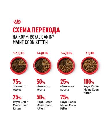 ROYAL CANIN Main Coon Kitten 36 food for kittens Main Kun 0.4 kg 4 pcs - Buy Online on GoSupps.com