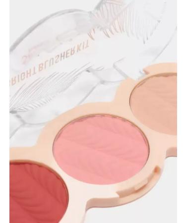 Sevencool Dry blush three shades tone 01 - Buy Online on GoSupps.com