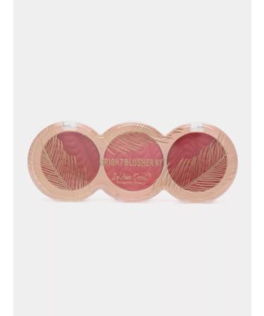 Sevencool Dry blush three shades tone 04
