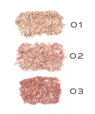 SHINEWELL Highlighter for the face dry with Shimmer - Buy Online on GoSupps.com