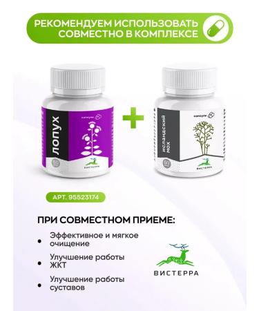 Visterra Capsules Icelandic moss from cough and for immunity (Cetraria) - Buy Online on GoSupps.com
