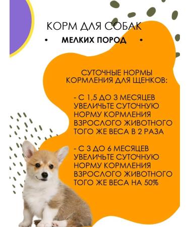 BLITZ Dry food for dogs of small breeds Classic 500 g - Buy Online on GoSupps.com