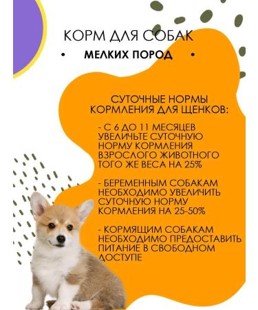 BLITZ Dry food for dogs of small breeds Classic 500 g - Buy Online on GoSupps.com