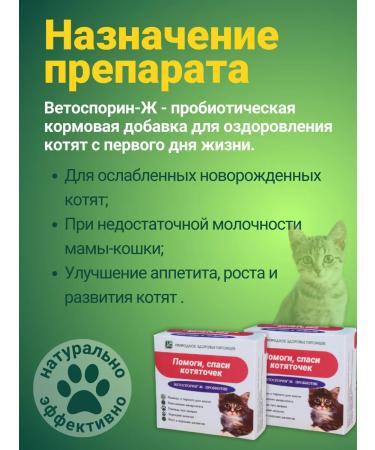 with a small shoe Vetosporin Probiotic help save kittens for cats - Buy Online on GoSupps.com