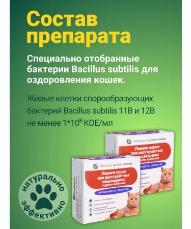 with a small shoe Probiotics for pets to cats - Buy Online on GoSupps.com