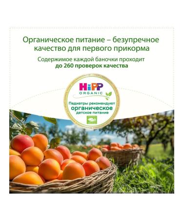 Hipp Fruit puree "Apricot with an apple" from 5 months 6x80g - Buy Online on GoSupps.com