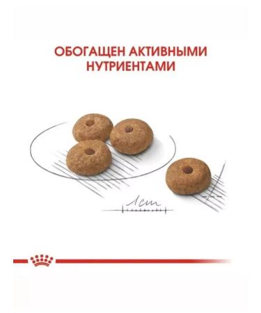 ROYAL CANIN RC mini sterillated feed for dogs of small species 3 kg - Buy Online on GoSupps.com