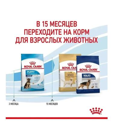ROYAL CANIN RC Maxi Puppy Large puppies 3 kg puppies - Buy Online on GoSupps.com