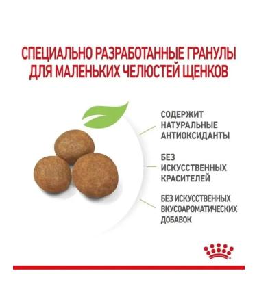 ROYAL CANIN RC Maxi Puppy Large puppies 3 kg puppies - Buy Online on GoSupps.com