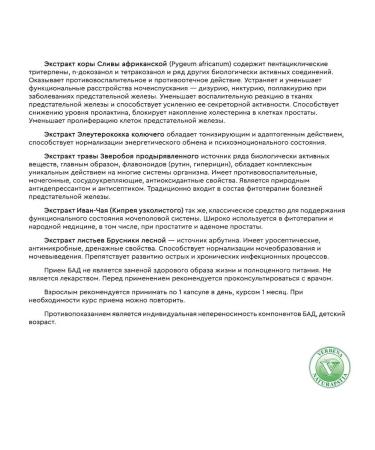 Verbena Prostanorma male health - Buy Online on GoSupps.com