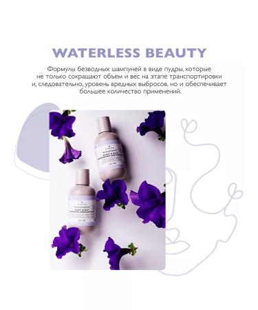 SINESIA Waterless Beauty (50 g) deep cleansing shampoo. - Buy Online on GoSupps.com