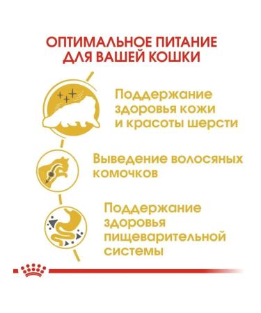 ROYAL CANIN RC Persian food for cats Persian breed 2kg - Buy Online on GoSupps.com