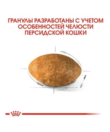 ROYAL CANIN RC Persian food for cats Persian breed 2kg - Buy Online on GoSupps.com