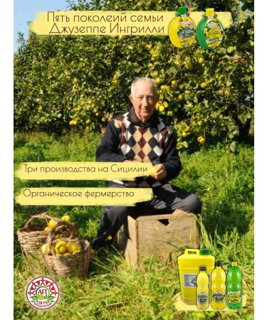 Natural juice of lemon and lime of the alphabet products set 200*2 - Buy Online on GoSupps.com
