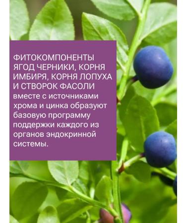 Spring of Health Phytococective Endorosis for the thyroid gland - Buy Online on GoSupps.com