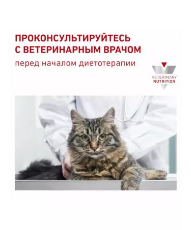 ROYAL CANIN Diabetic for cats 1.5 kg diabetic - Buy Online on GoSupps.com