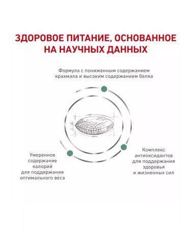 ROYAL CANIN Diabetic for cats 1.5 kg diabetic - Buy Online on GoSupps.com