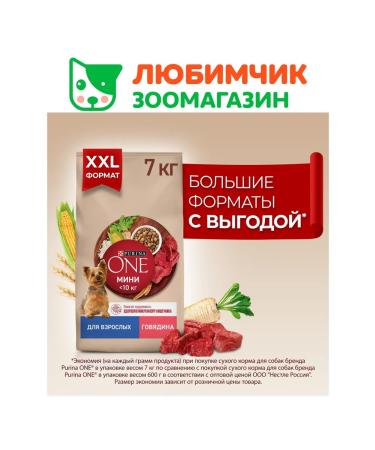 PURINA ONE Feed for adult dogs of small breeds beef and rice 7 kg