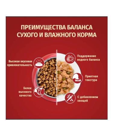 PURINA ONE Feed for adult dogs of small breeds beef and rice 7 kg - Buy Online on GoSupps.com